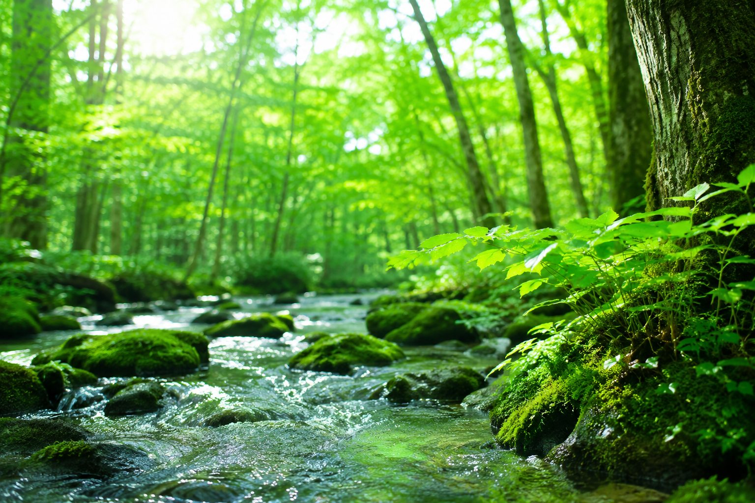 Green landscape with a flowing stream